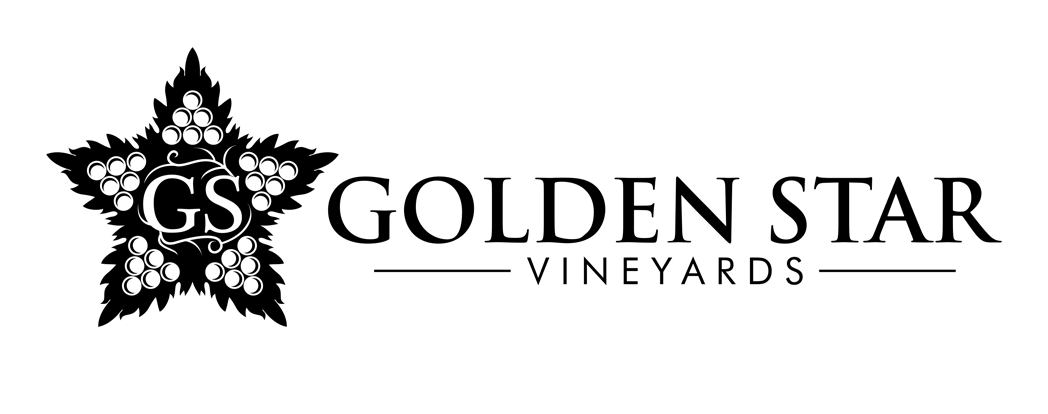 Golden Star Vineyards Logo (Link to homepage)