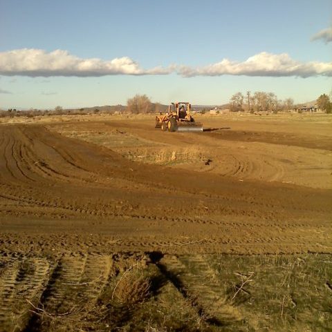 Tractor grading open field.